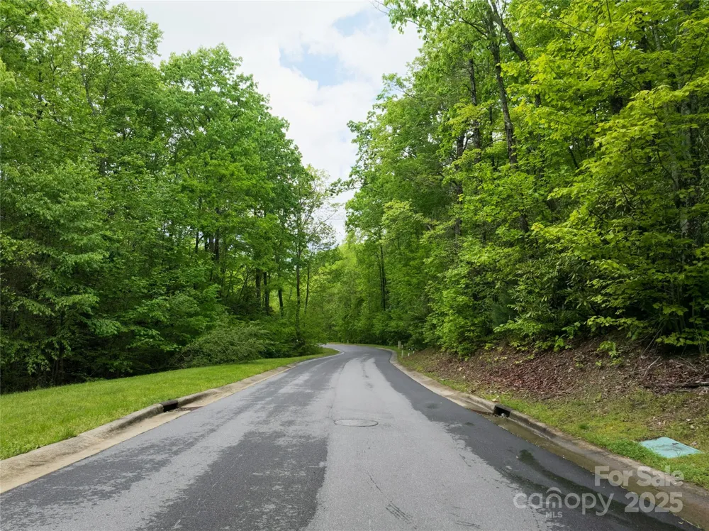 52 Settings Boulevard Black Mountain, NC 28711