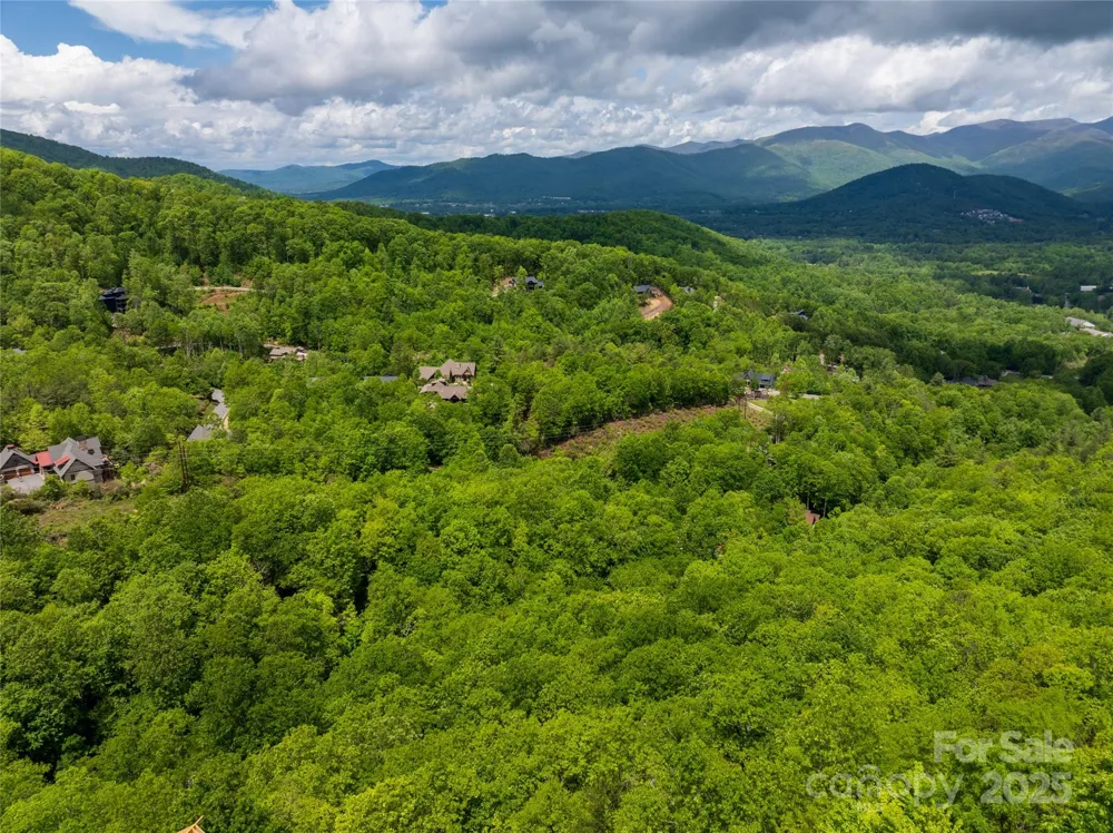 52 Settings Boulevard Black Mountain, NC 28711