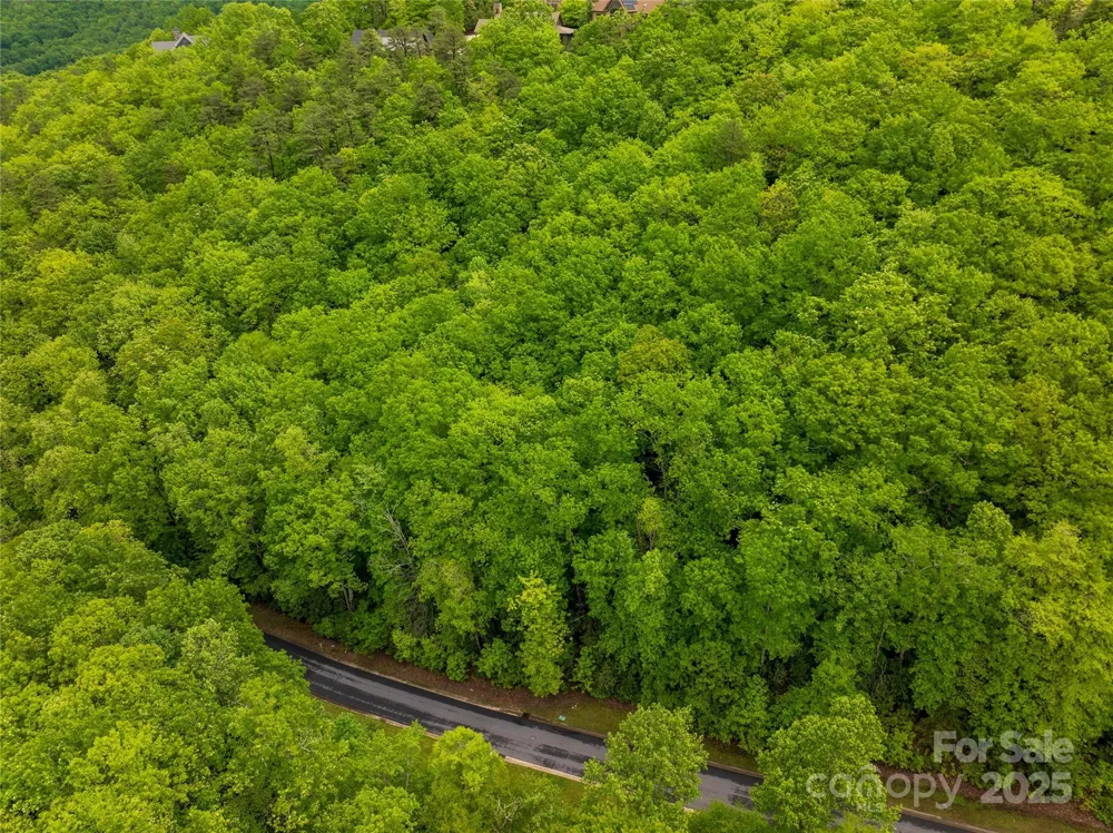 52 Settings Boulevard Black Mountain, NC 28711