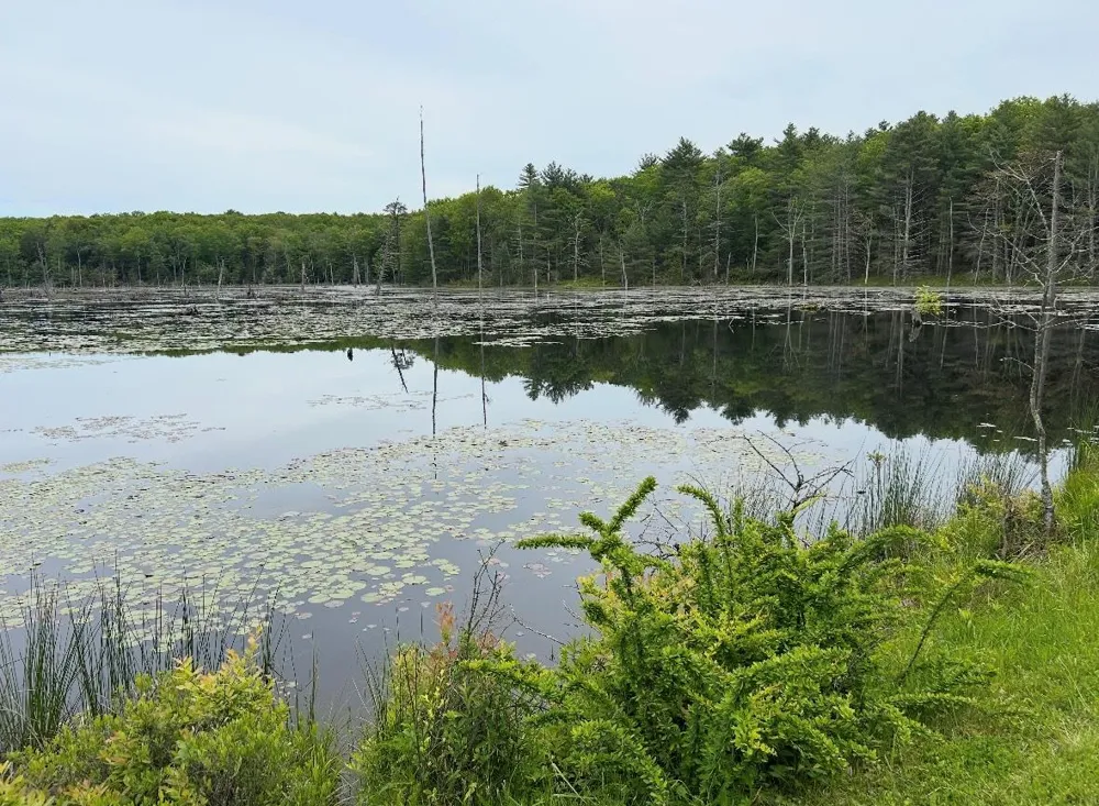 Lot 45 Split Rock Drive Barryville, NY 12719