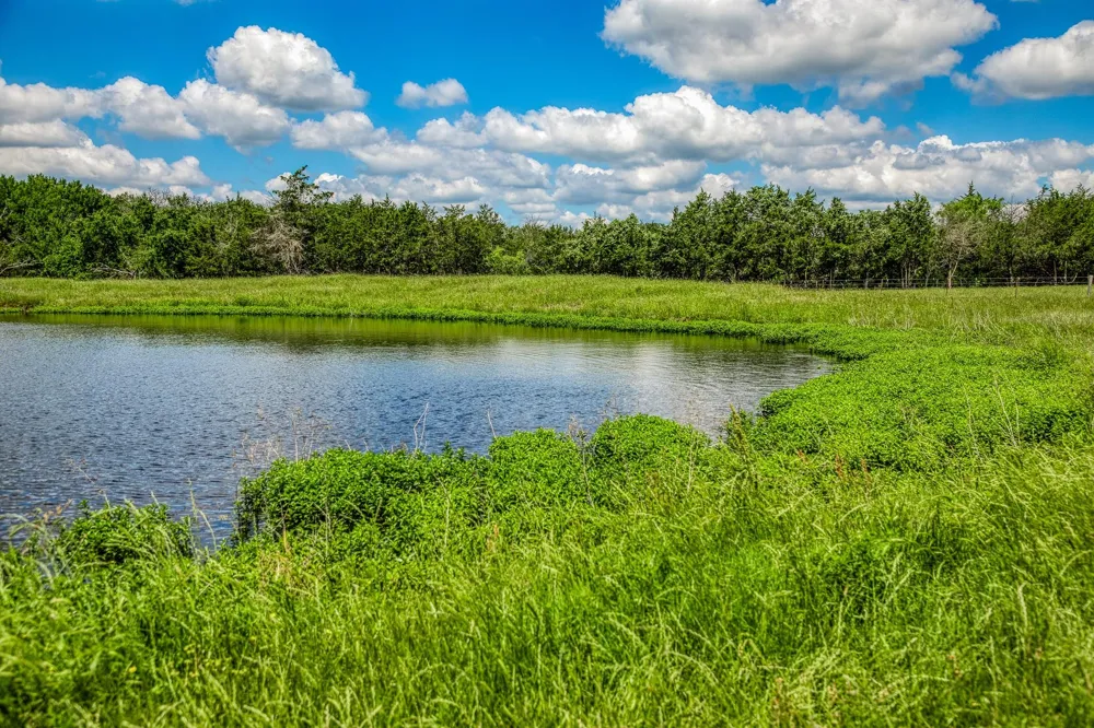 1850 Lcr 439 Groesbeck, TX 76667