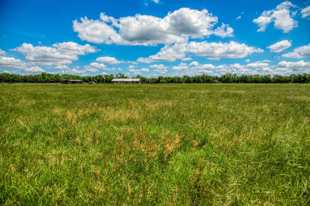 1850 Lcr 439 Groesbeck, TX 76667
