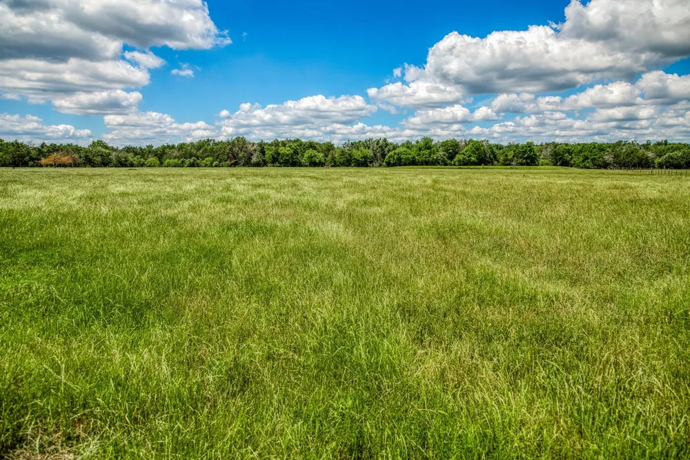 1850 Lcr 439 Groesbeck, TX 76667