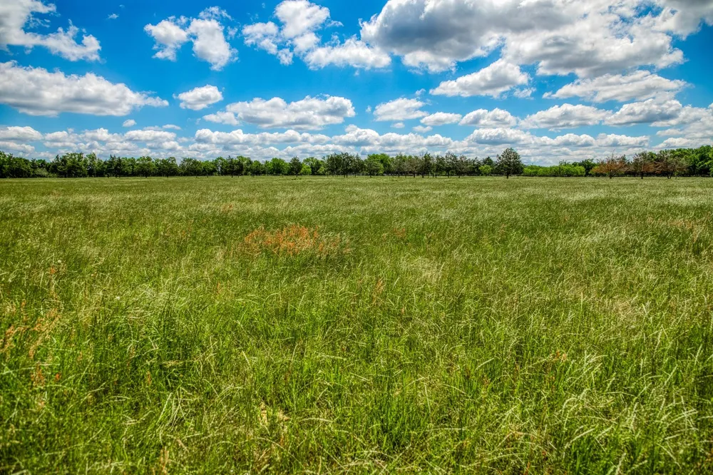 1850 Lcr 439 Groesbeck, TX 76667