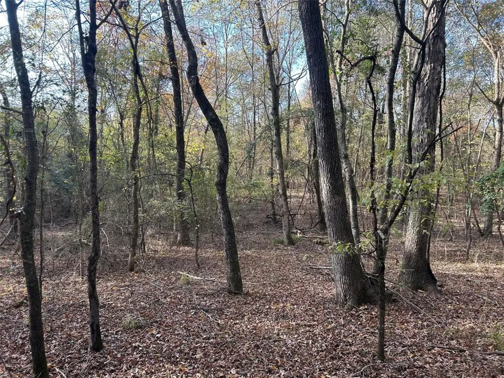 County Road 1412 Bogata, TX 75426