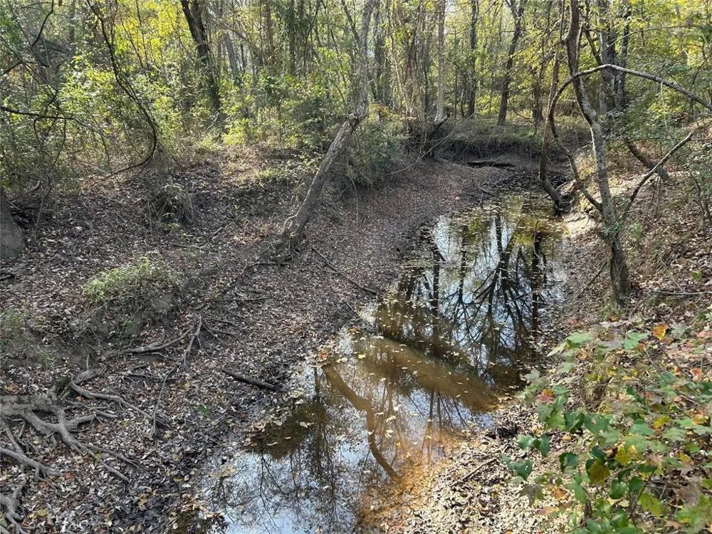 County Road 1412 Bogata, TX 75426