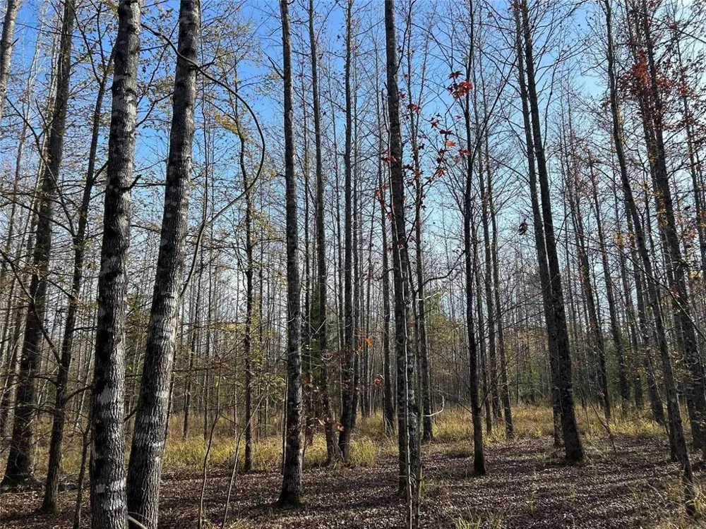 County Road 1412 Bogata, TX 75426