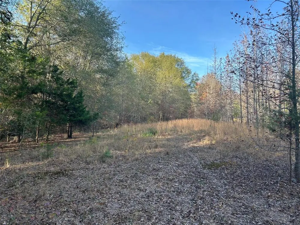 County Road 1412 Bogata, TX 75426