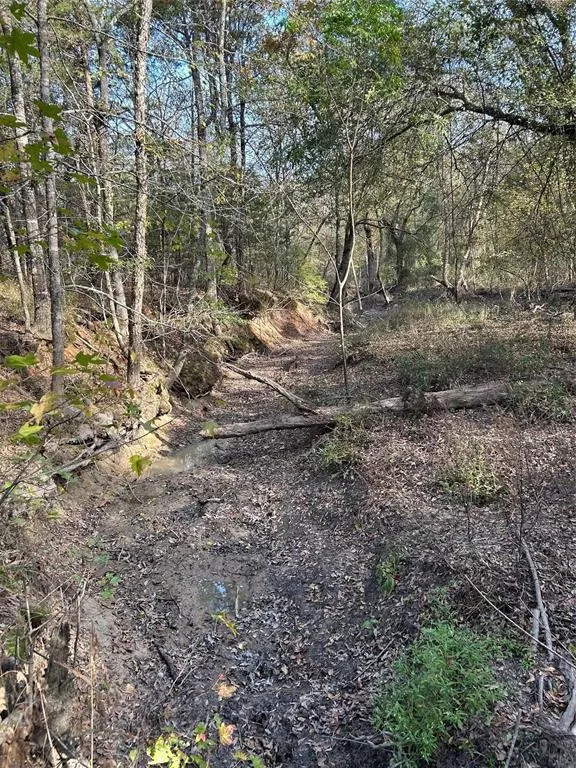 County Road 1412 Bogata, TX 75426