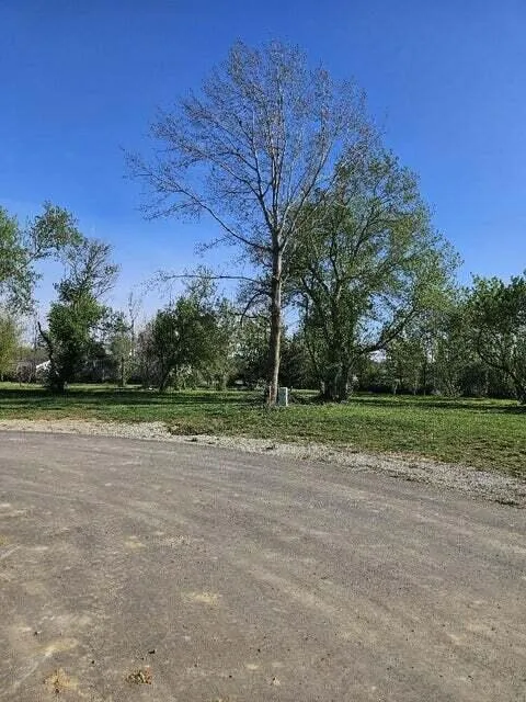 2 Walsh Court Onsted, MI 49265