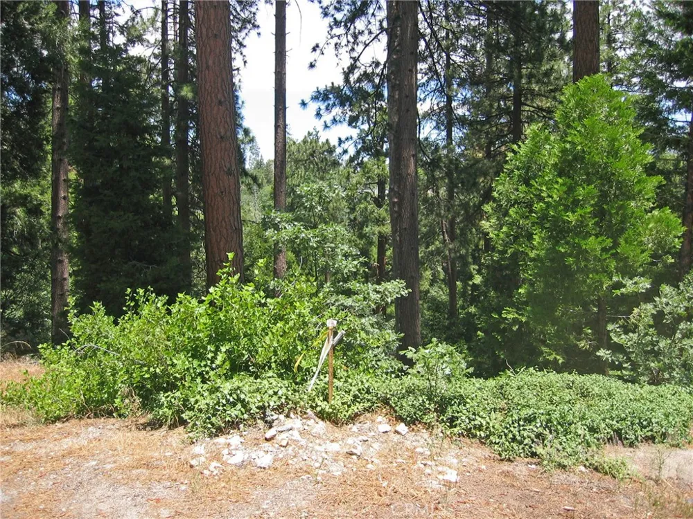 135 Fairway Drive Lake Arrowhead, CA 92391