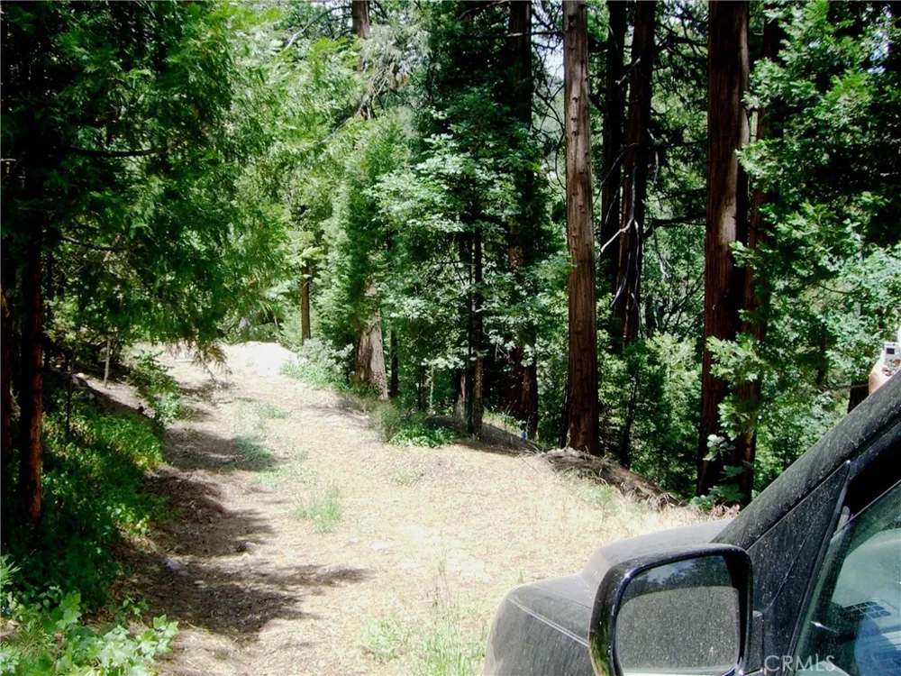 135 Fairway Drive Lake Arrowhead, CA 92391