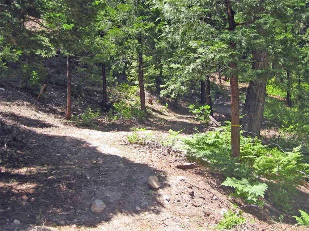 135 Fairway Drive Lake Arrowhead, CA 92391
