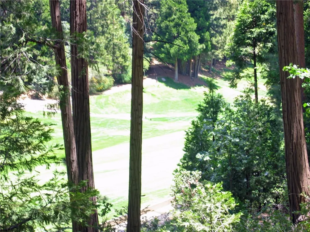 135 Fairway Drive Lake Arrowhead, CA 92391