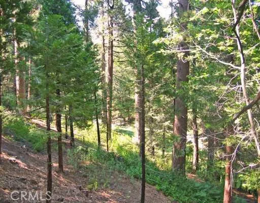 135 Fairway Drive Lake Arrowhead, CA 92391