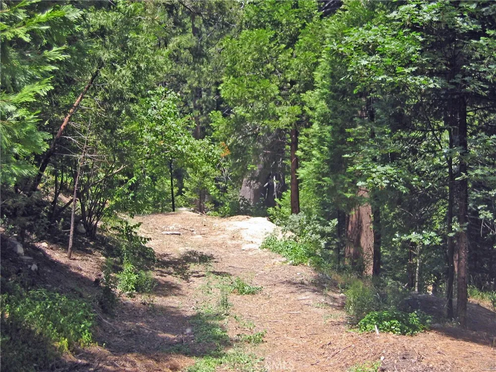 135 Fairway Drive Lake Arrowhead, CA 92391