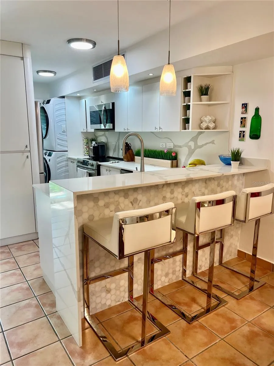 101 OCEAN VILLAS Dorado, PR 00646