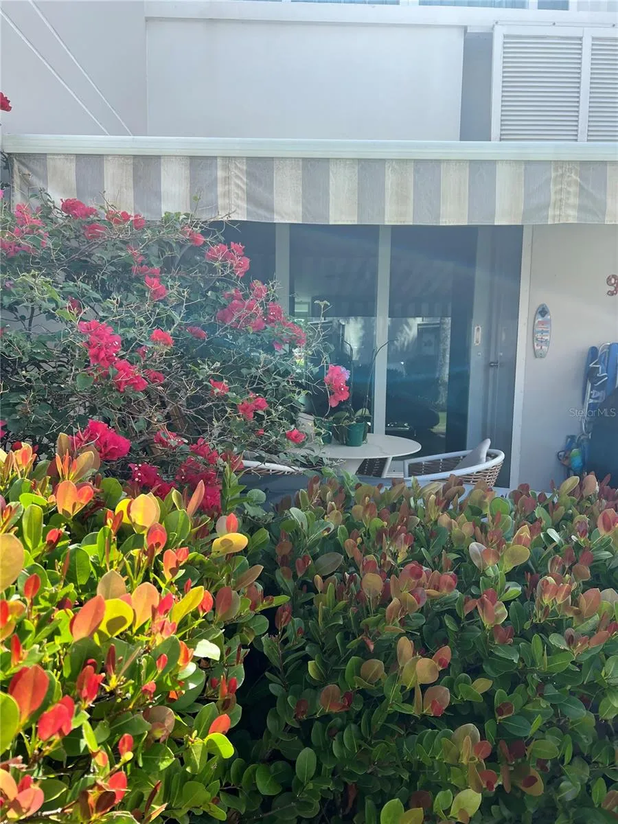 101 OCEAN VILLAS Dorado, PR 00646