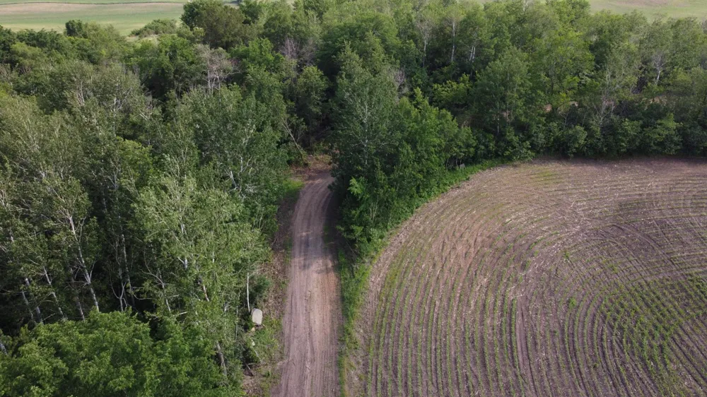 TBD 250th st E Hampton, MN 55031