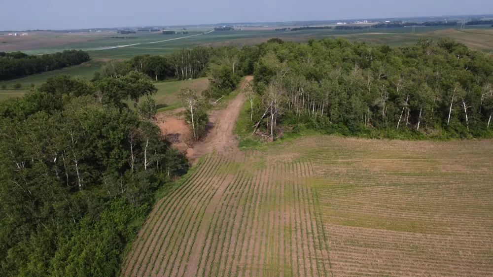 TBD 250th st E Hampton, MN 55031
