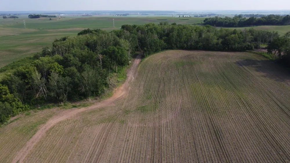 TBD 250th st E Hampton, MN 55031
