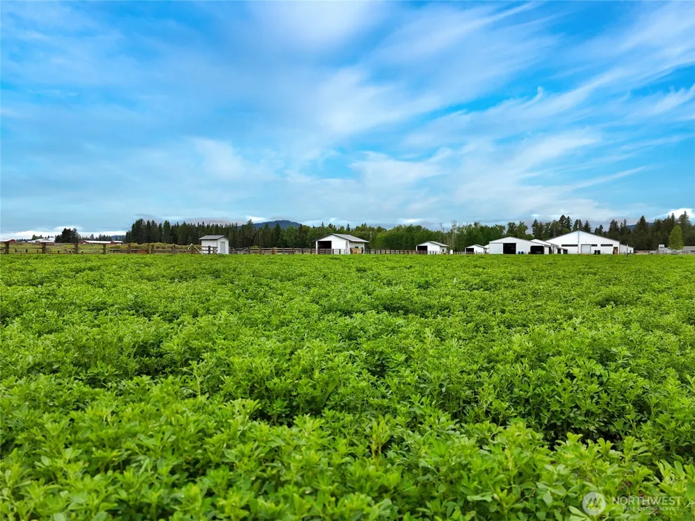 4988 Wallbridge Road Deer Park, WA 99006