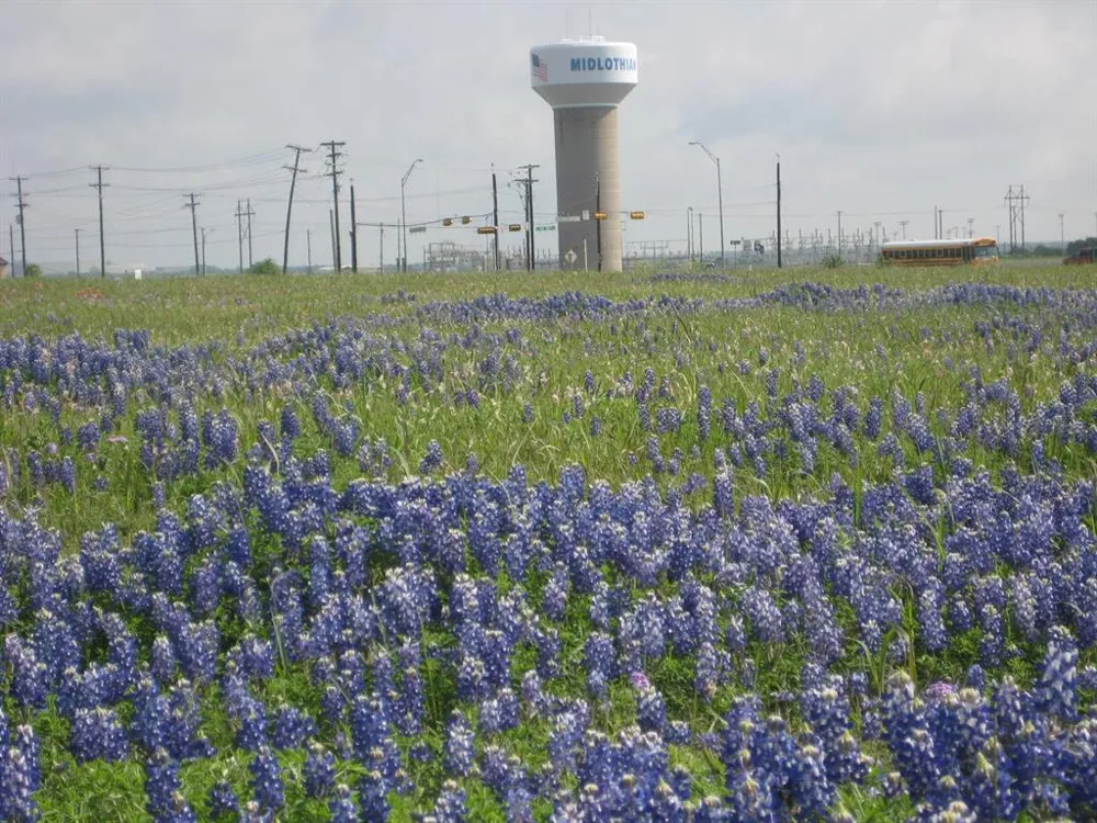 109 County Road Venus, TX 76065