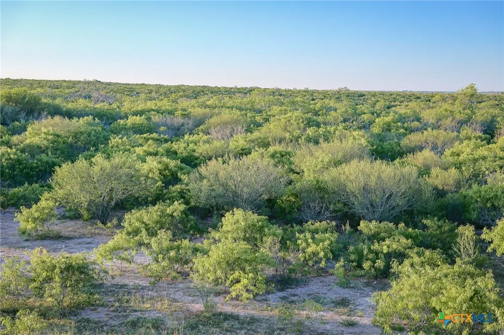 County Line Rd # 120 Beeville, TX 78102