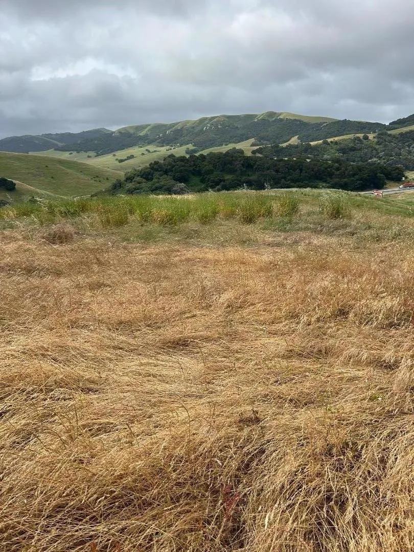 363 Orchard Hill Road San Juan Bautista, CA 95045