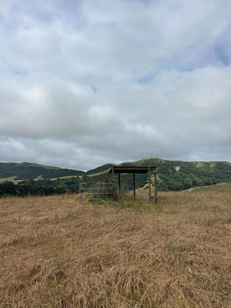363 Orchard Hill Road San Juan Bautista, CA 95045