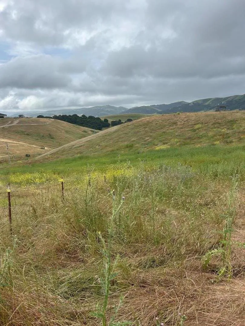 363 Orchard Hill Road San Juan Bautista, CA 95045