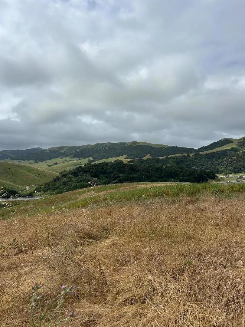 363 Orchard Hill Road San Juan Bautista, CA 95045