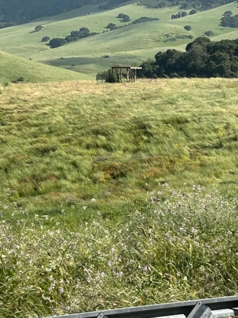 363 Orchard Hill Road San Juan Bautista, CA 95045