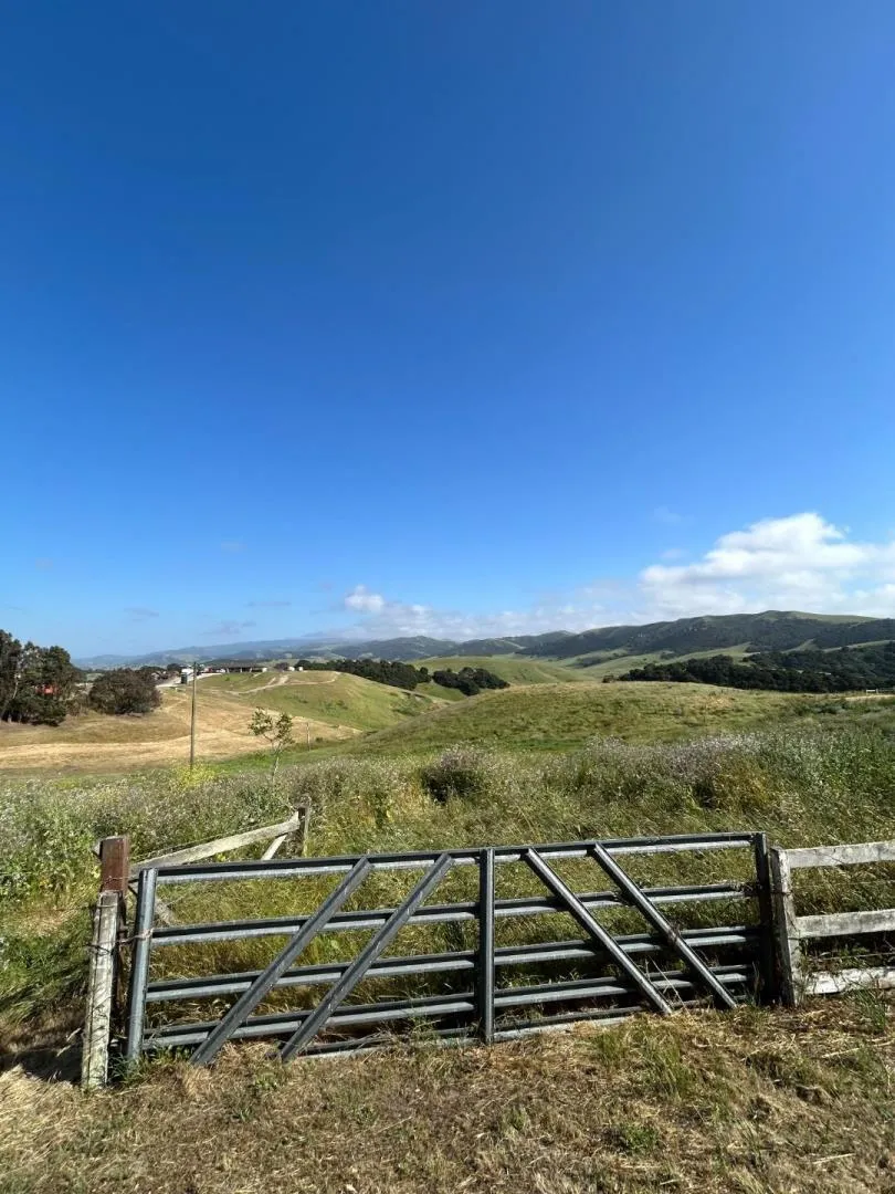 363 Orchard Hill Road San Juan Bautista, CA 95045