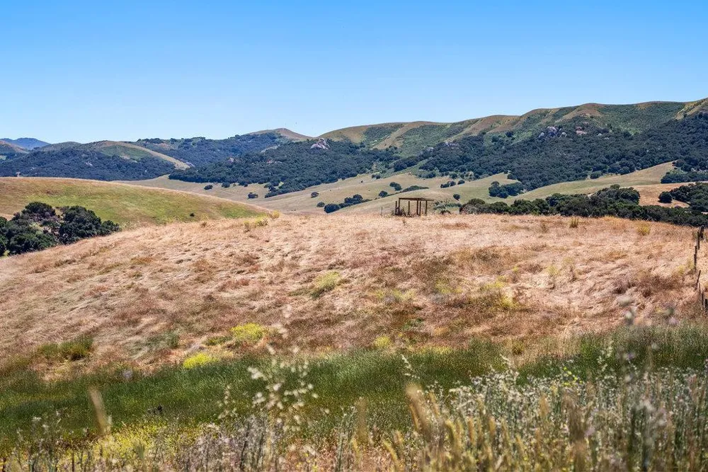 363 Orchard Hill Road San Juan Bautista, CA 95045
