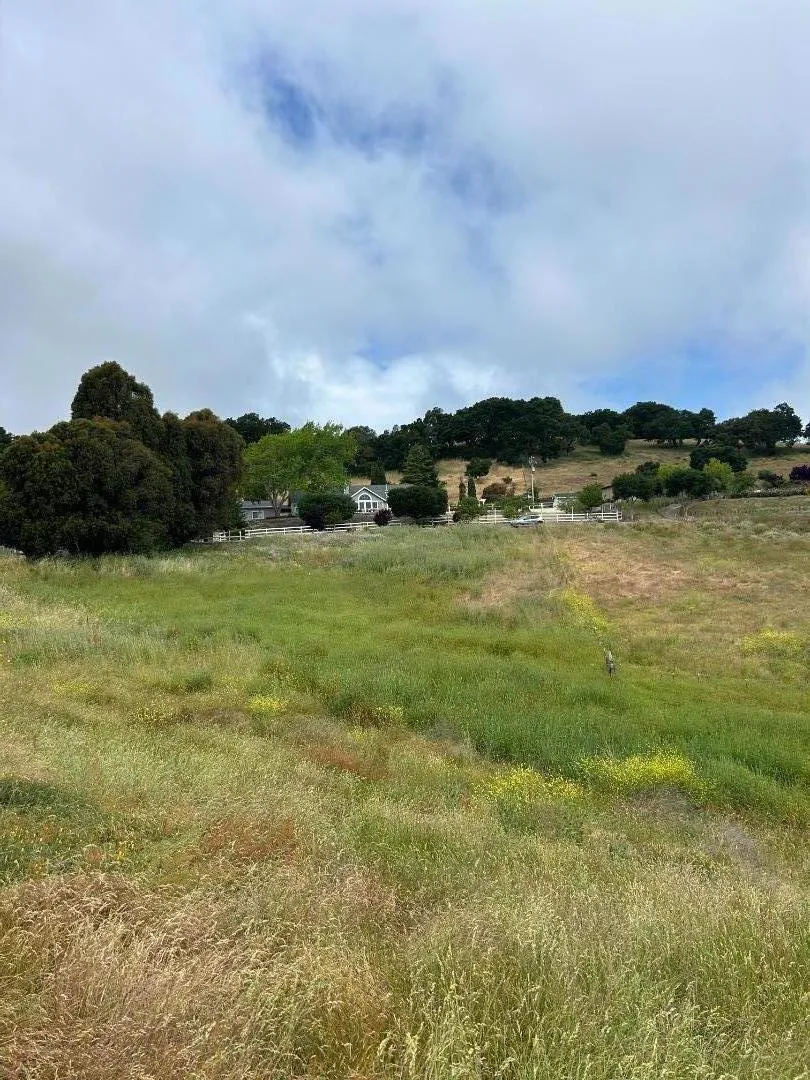 363 Orchard Hill Road San Juan Bautista, CA 95045