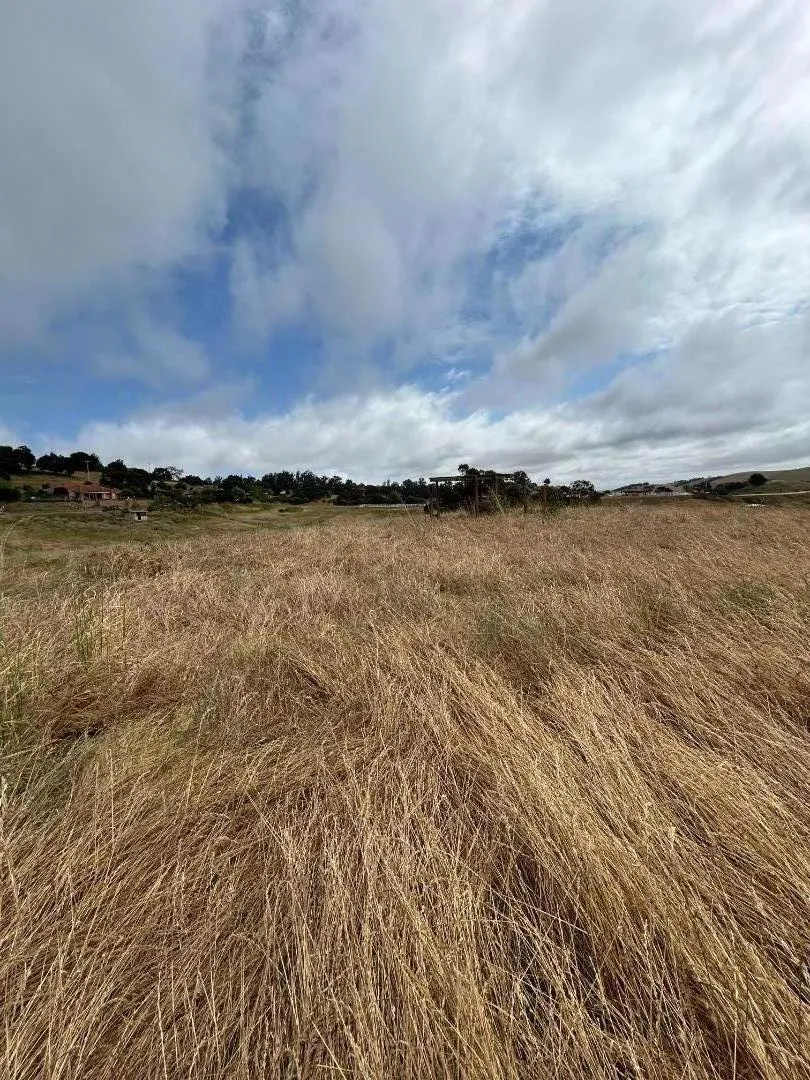 363 Orchard Hill Road San Juan Bautista, CA 95045