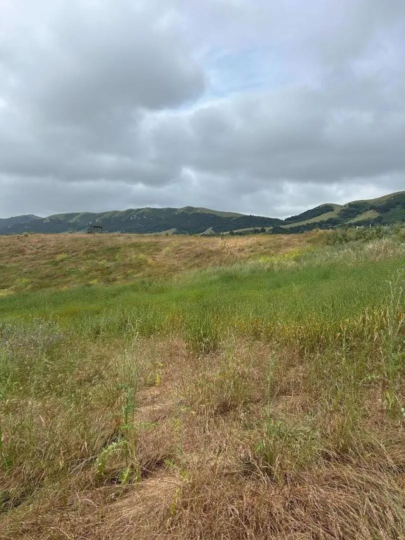 363 Orchard Hill Road San Juan Bautista, CA 95045