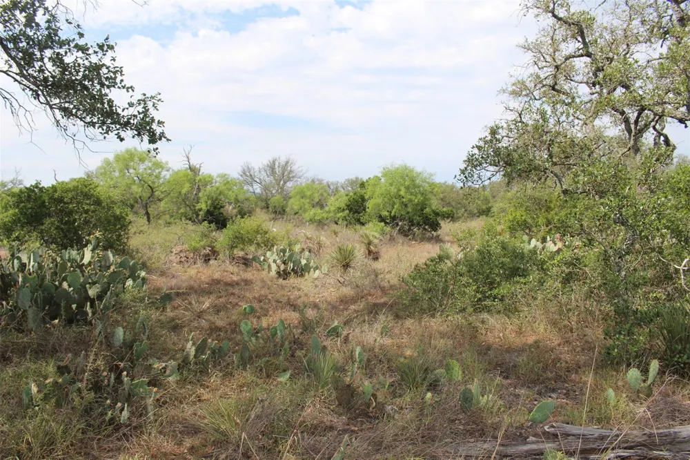 Tx-29 Highway Llano, TX 78643