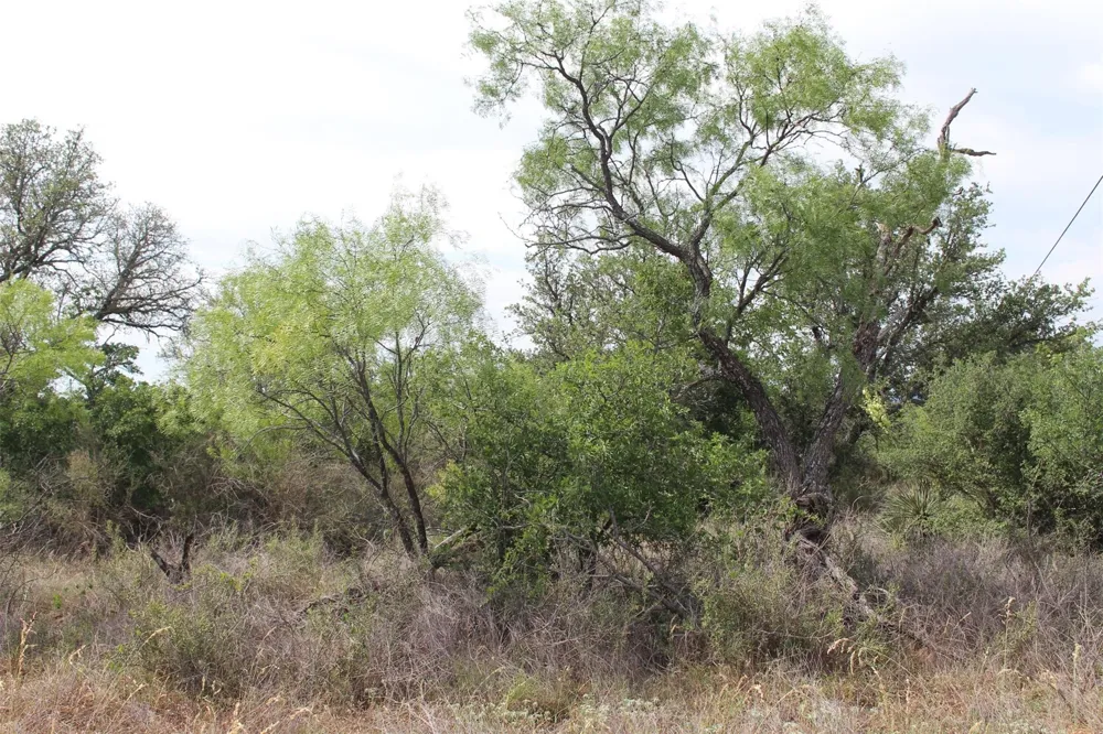 Tx-29 Highway Llano, TX 78643