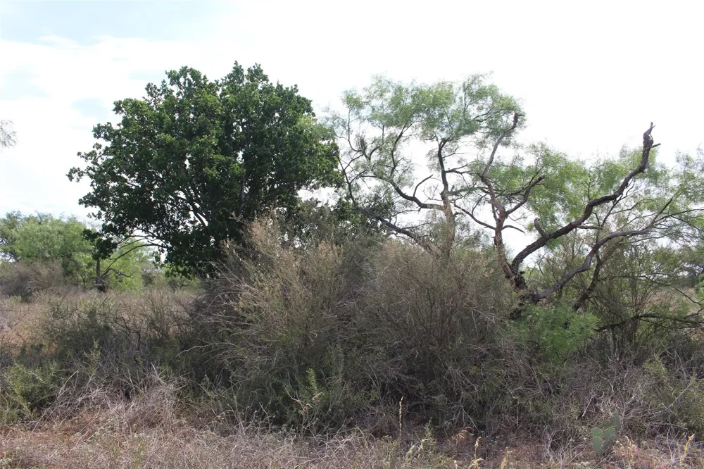 Tx-29 Highway Llano, TX 78643