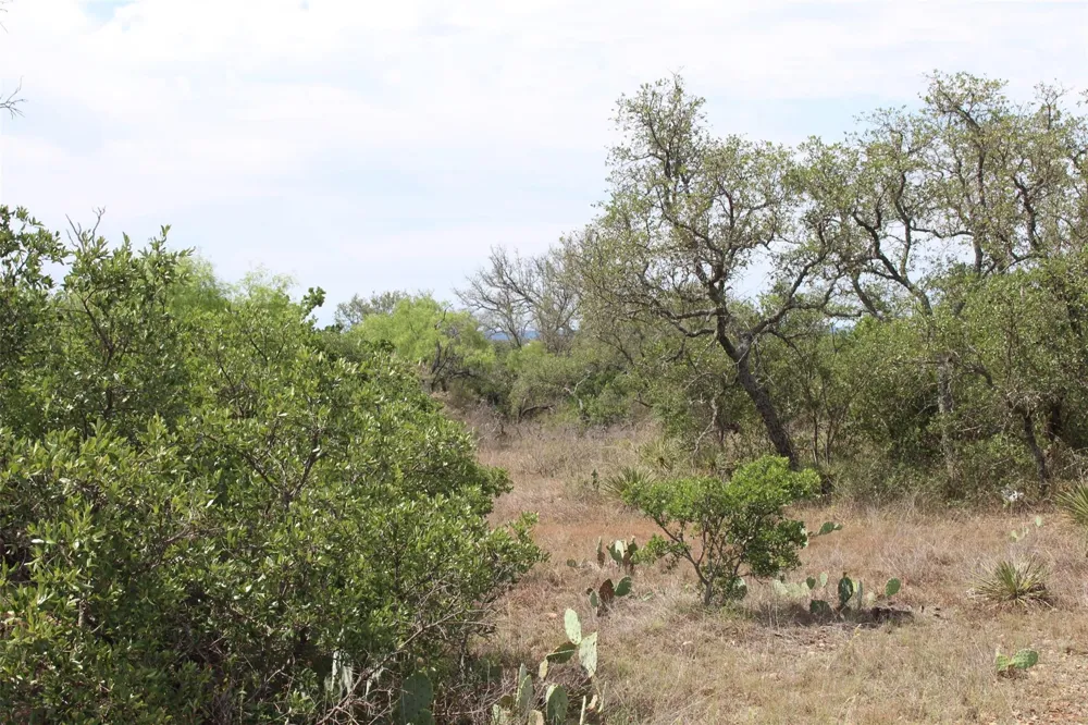 Tx-29 Highway Llano, TX 78643
