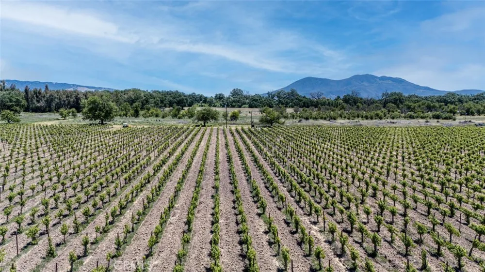 270 Soda Bay Road Lakeport, CA 95453