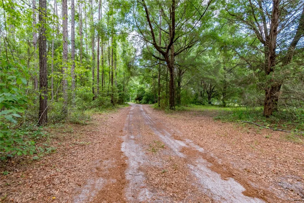23227 W NEWBERRY ROAD Newberry, FL 32669