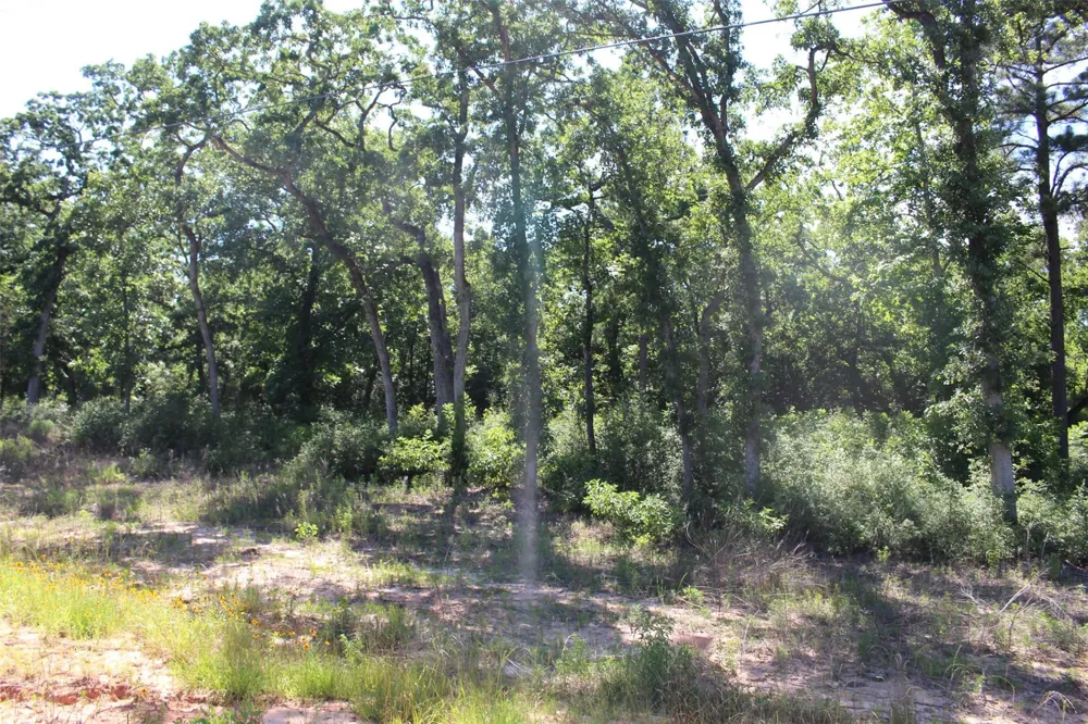 142 Private Road 1311 Centerville, TX 75833