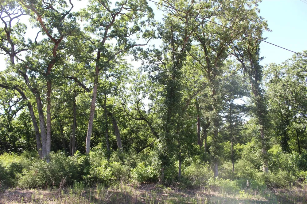 142 Private Road 1311 Centerville, TX 75833
