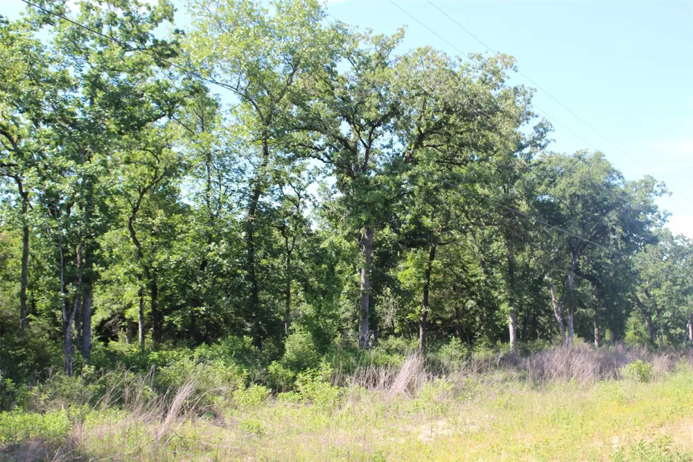 142 Private Road 1311 Centerville, TX 75833