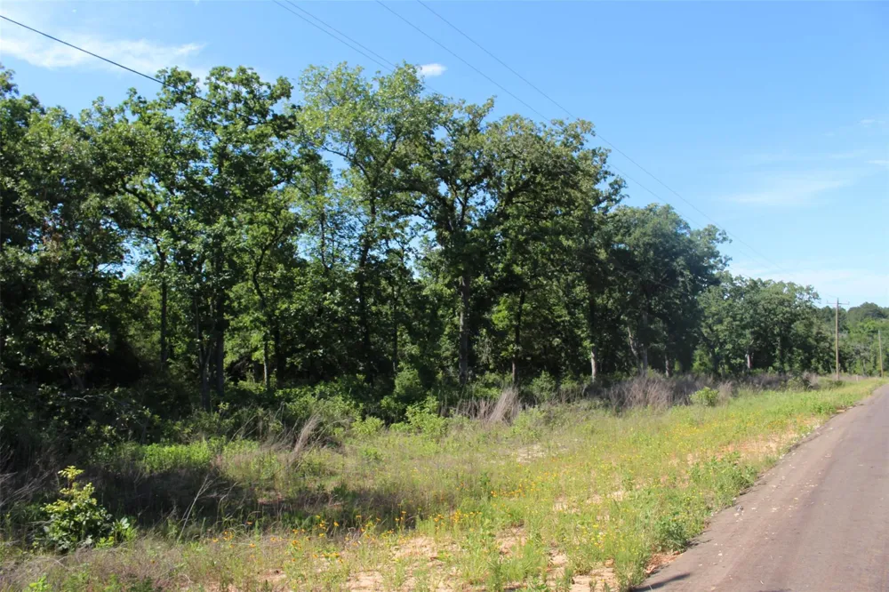 142 Private Road 1311 Centerville, TX 75833