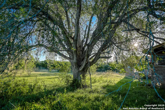 000 County Line Rd # 120 Beeville, TX 78102