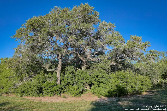 000 County Line Rd # 120 Beeville, TX 78102